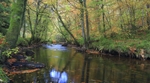 Autumn on the Teign
