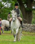 Dunblane show-115