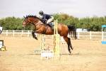 SBM_026220