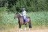 WJ7_7456