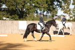 SBM_18337
