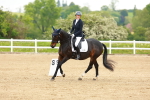 SBM_005538