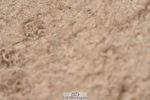 230813A-120146-12170