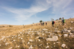 Valley of the orchids walk