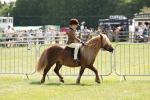 SBM_05320