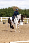 SBM_009706