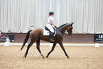 SBM_001037