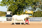 SBM_07956