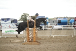 SBM_18454