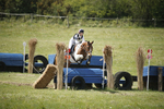 BVHT 140517  IXC -693