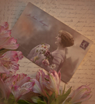 Letter From a Lover