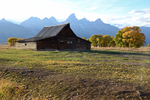 Grand Teton Fall From Mormon Row
