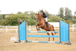 SBM_023815