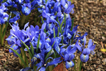 MARCH 2015-5