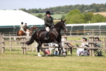 SBM_17849