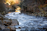 River Tees
