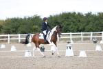 SBM_014461