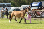 SBM_02186