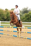 SBM_002377