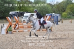 CLASS 19 SAT Senior Newcomers/ 1.10m Open portfolio