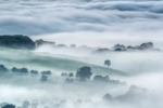 z3249 Misty Dusk, Wroxall