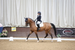 SBM_004039