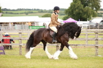 SBM_06100
