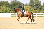 SBM_002291