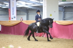 SBM_24934