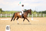 SBM_001484