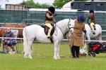 SBM_08197