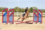 SBM_006892