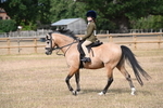 Class 9 Tack and Turnout portfolio