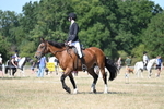 WJ7_0412