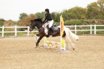 SBM_007223