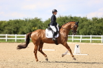 SBM_002295