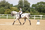 SBM_002048