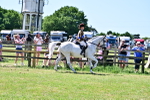 SBM_15440