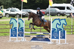 665-Natalie_Hingley-HENDRICK.S portfolio