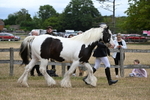 WJ6_8353