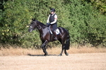 WJ6_6731