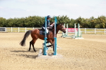 SBM_000232
