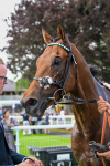280625-Race 5-Turquino-0522