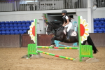 Show Jumping - 27-7-24 portfolio