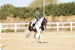 SBM_017446