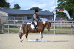 WJ5_8264