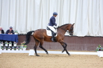 SBM_018685