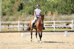 SBM_003281
