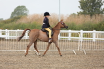 Young Rider Championship portfolio