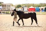 SBM_04620